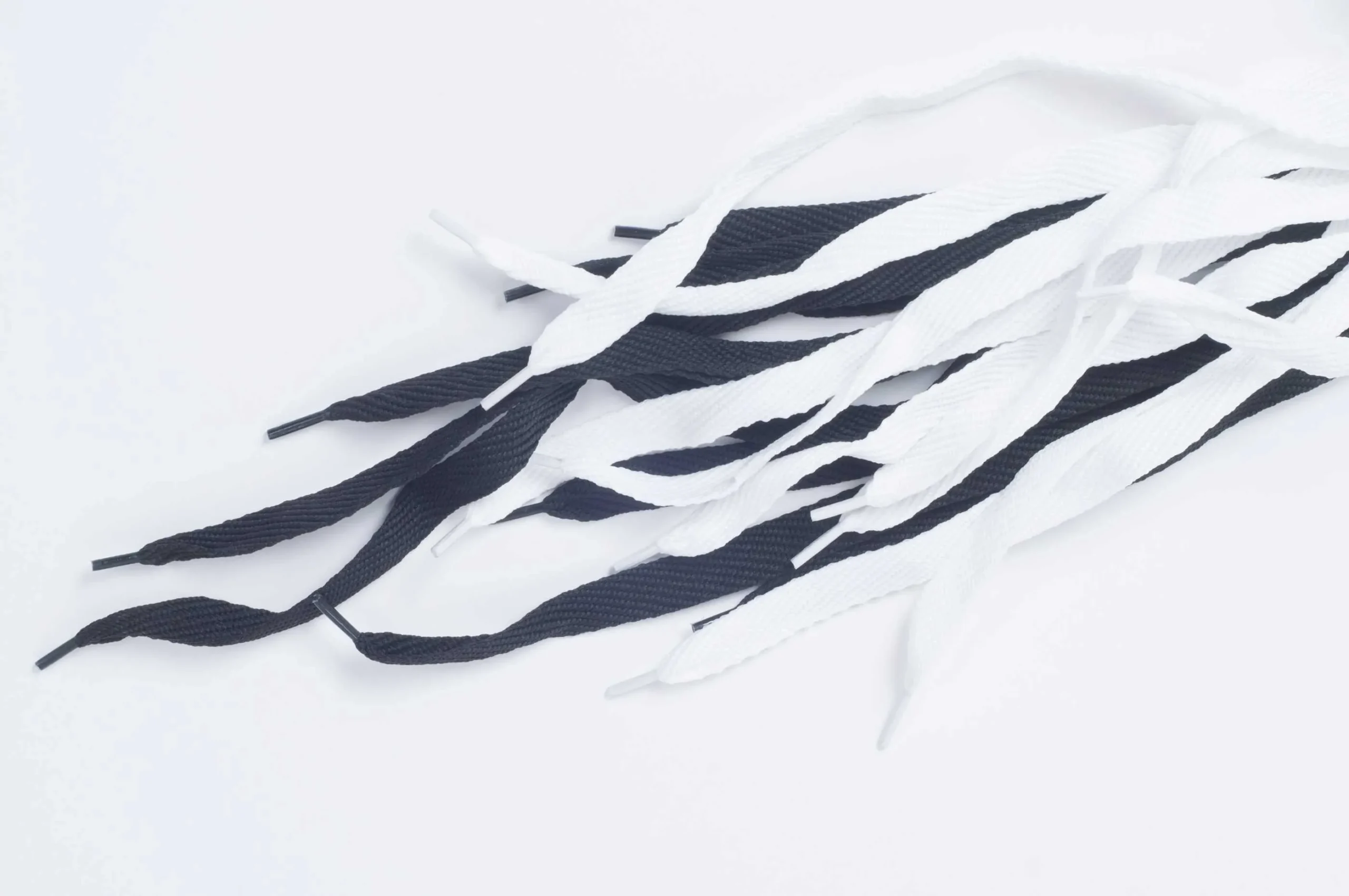 Cordones poliester chatos articulo 155