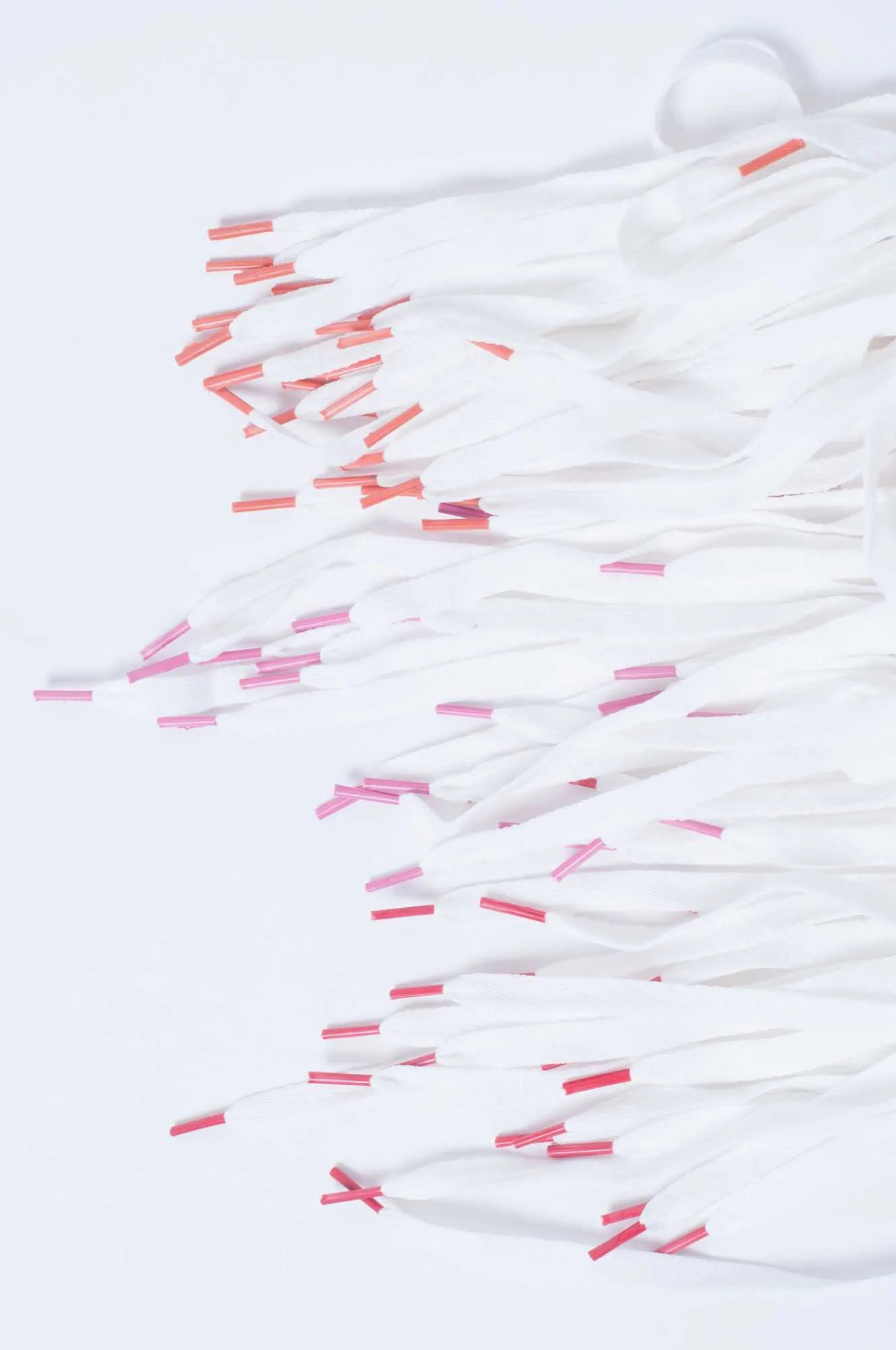 Cordones poliester chatos articulo 19