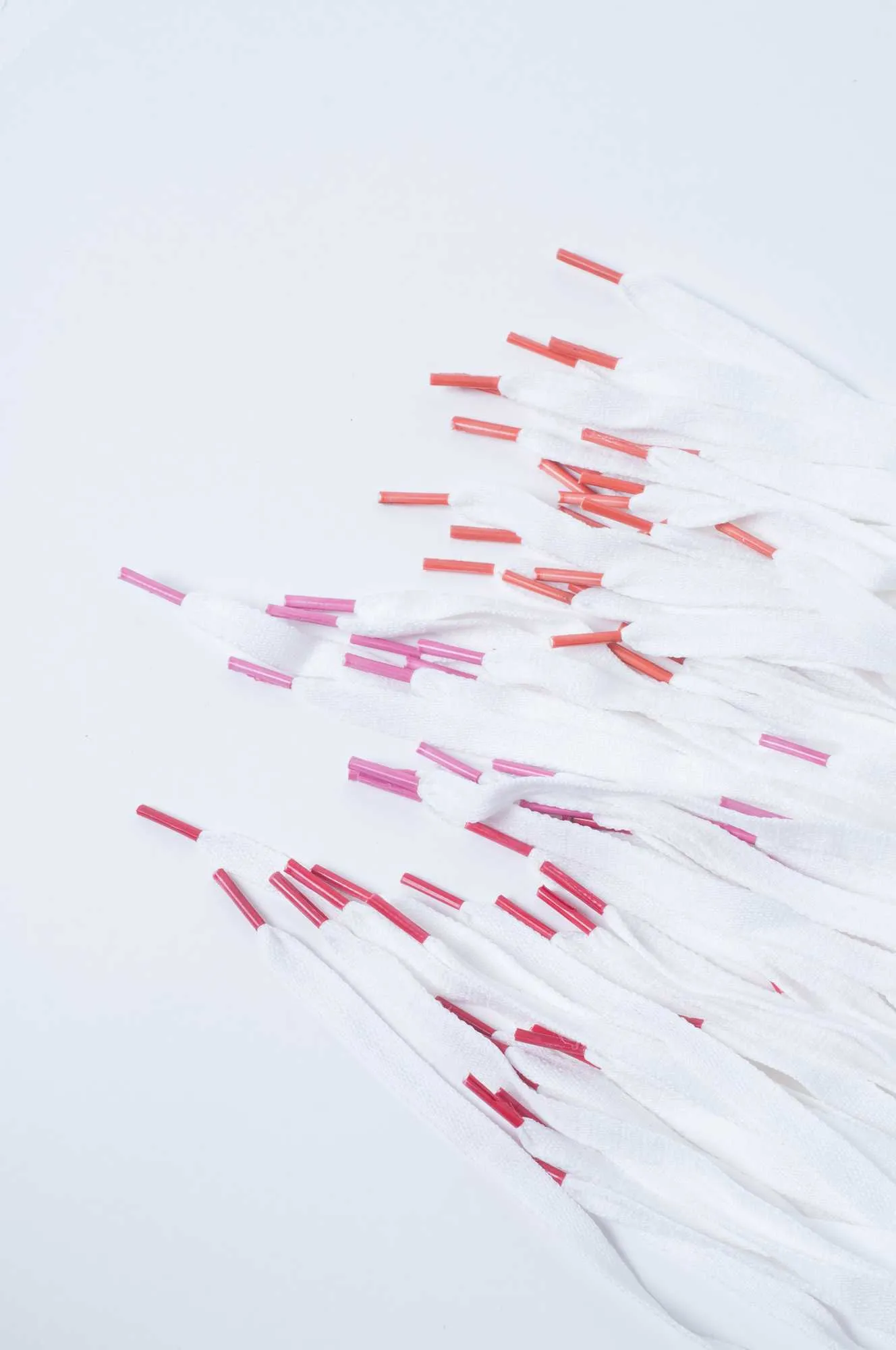 Cordones poliester chatos articulo 19