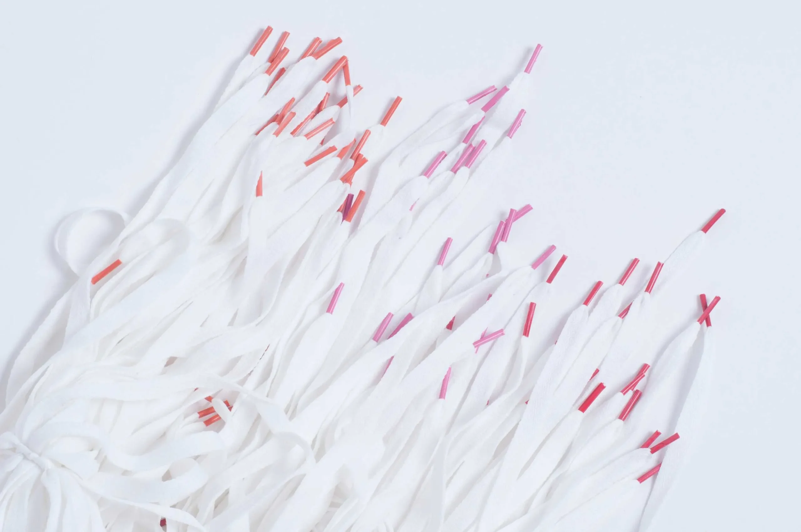 Cordones poliester chatos articulo 19