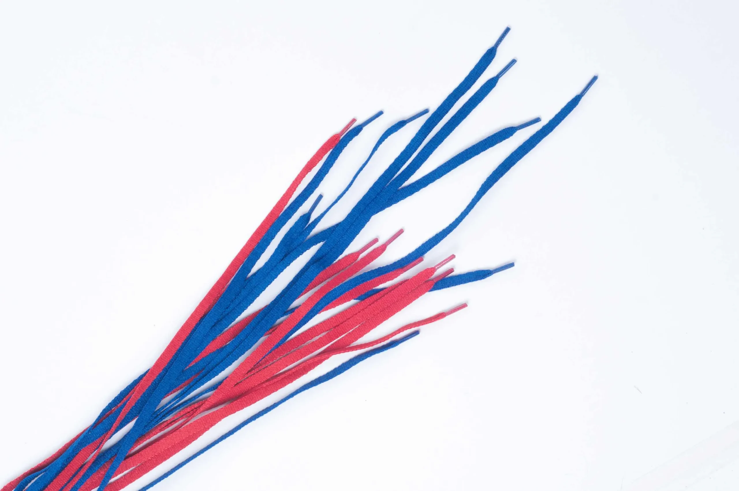 Cordones poliester chatos articulo 19