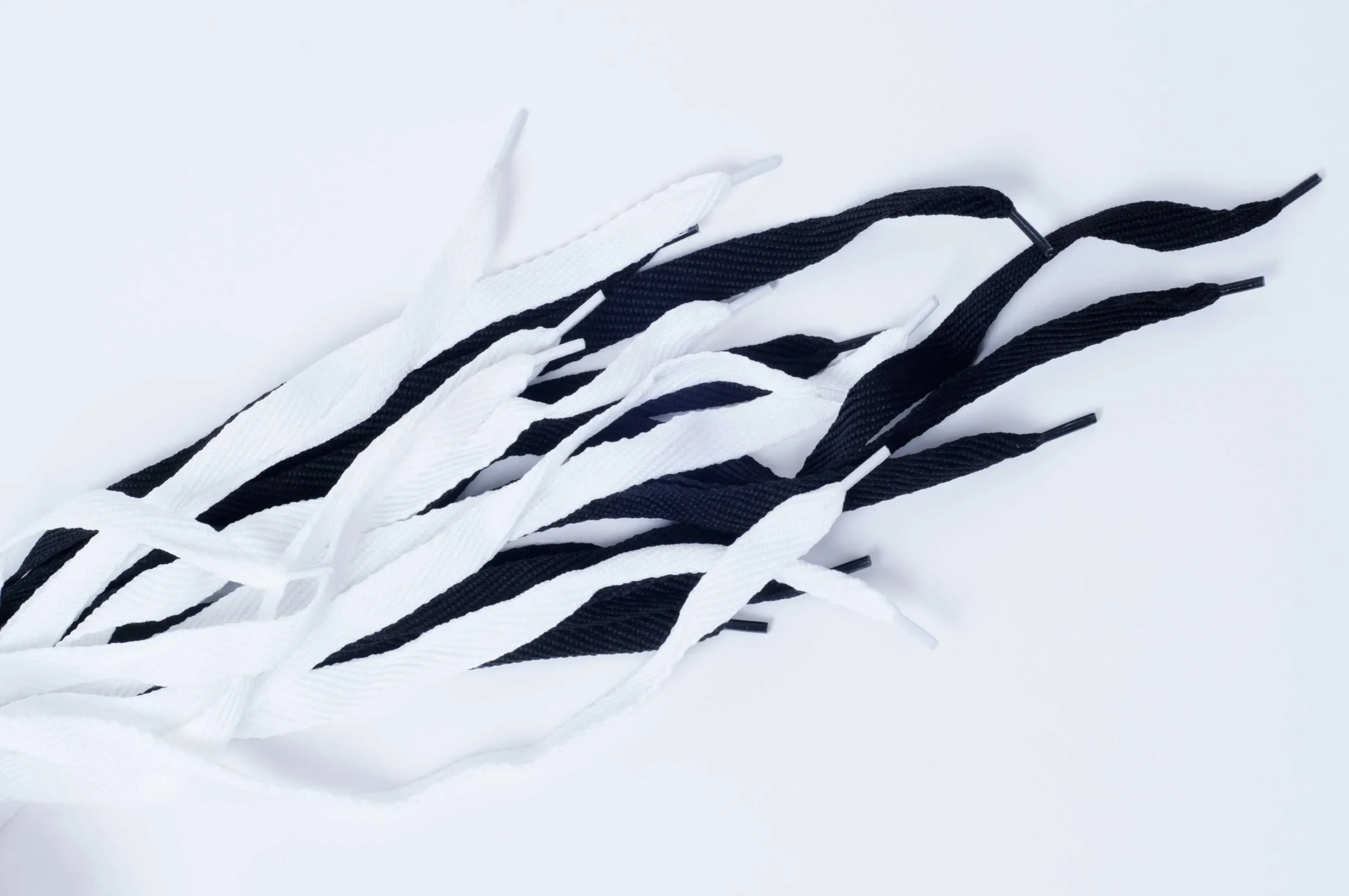 Cordones poliester chatos articulo 88