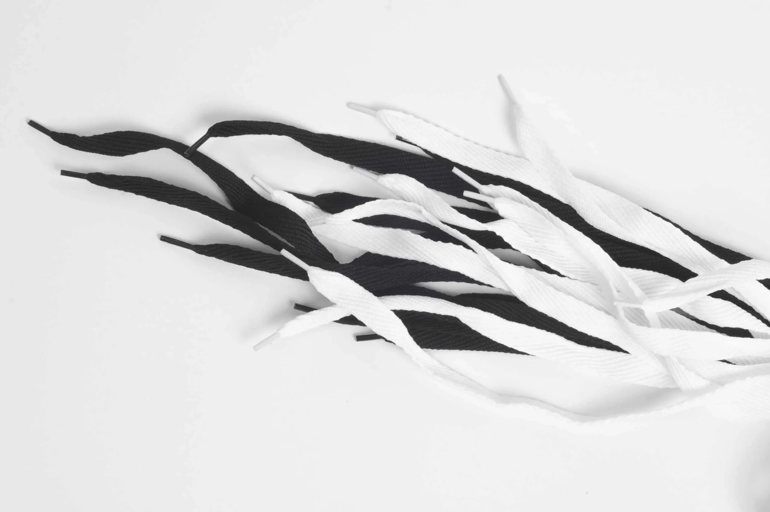 Cordones poliester chatos articulo 88