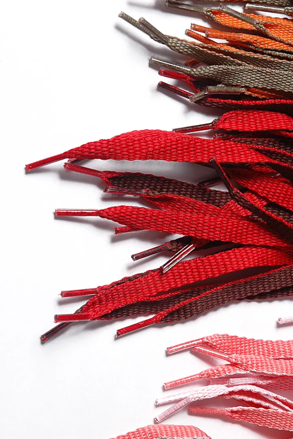 Cordones poliester chatos doble faz